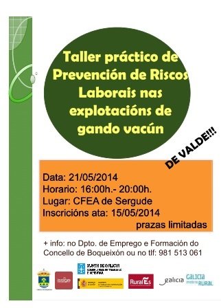 Taller Prevención Riscos