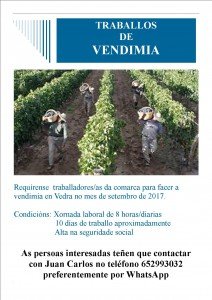 Oferta de emprego.Vendimia