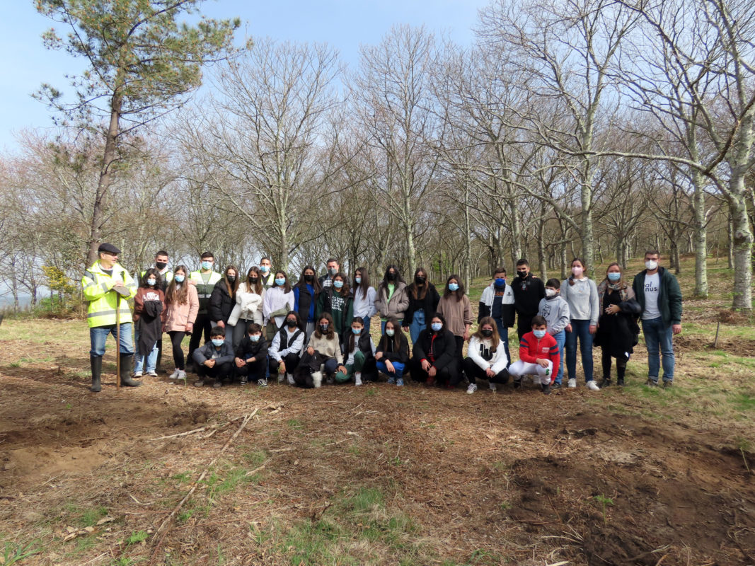 AFG grupo escolares plantacion Pico Sacro