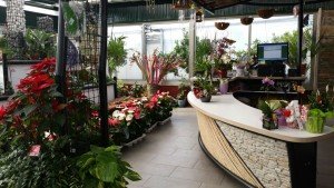 espacio venta