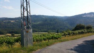 IMG-20160719-WA0002
